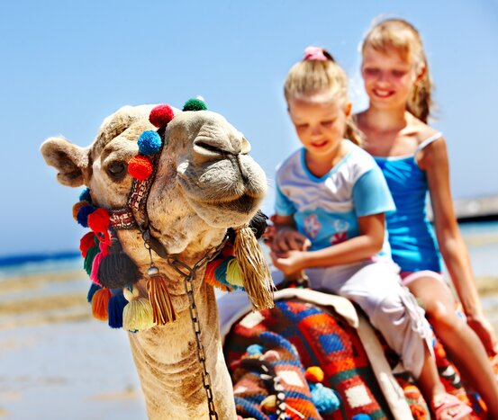 Take the kids on a camel ride on this memorable Moroccan adventure