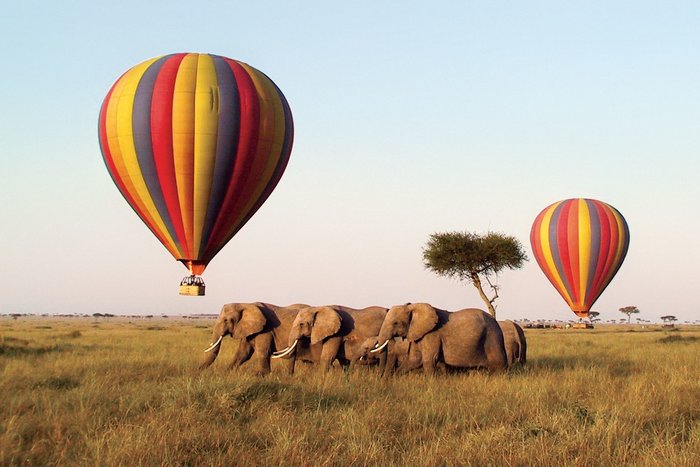 Hot-air Balloon Safari above the Mara