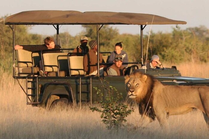 Morning and Afternoon Game Drives in South Luangwa National Park