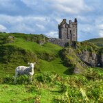 Scotland's 16th-century Gylen Castle overlooks the Firth of Lorn from the southern tip of the Isle of Kerrera