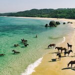 Meet the horses of Sumba on this two-week journey across three Indonesian islands (photo courtesy of NIHI Sumba)