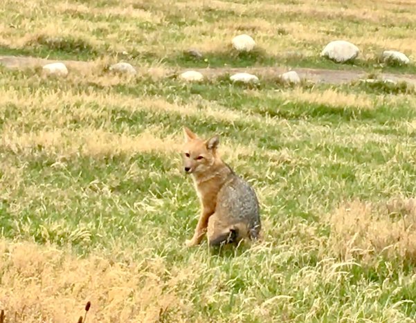 Eco Camp W Trek 7D/6N  - Day 1 - Welcome to Torres del Paine  💕⛰️