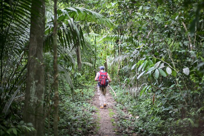 Eco Adventure 4/4: Flight & Transfer to {{end_location}}