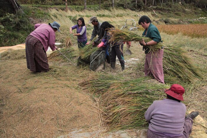 From Trongsa to Chumey (partly cycling)