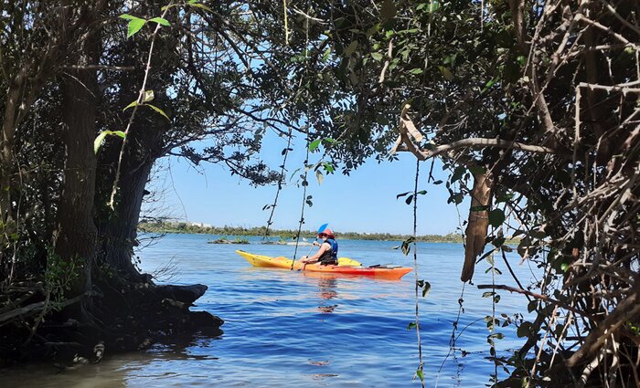 Guided Kayak Tour in the Camargue