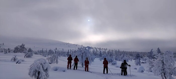 Private Snowshoe Trek at Pallas-Yllästunturi