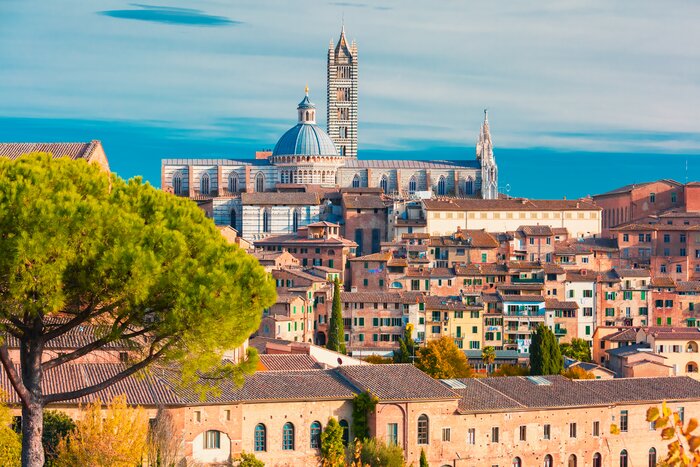 Enjoy a day trip from Florence to visit Siena and see its sites like the Siena Cathedral