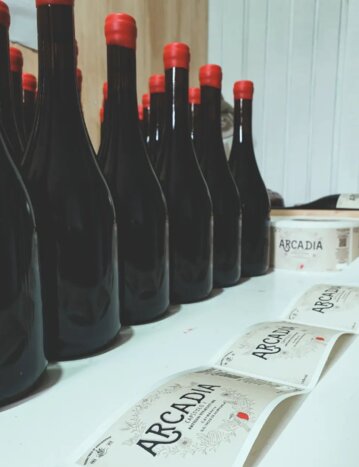 Visit to Aconcagua Farms