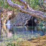 Hike through jungles to hidden waterfalls and lagoons in Rincón de la Vieja National Park