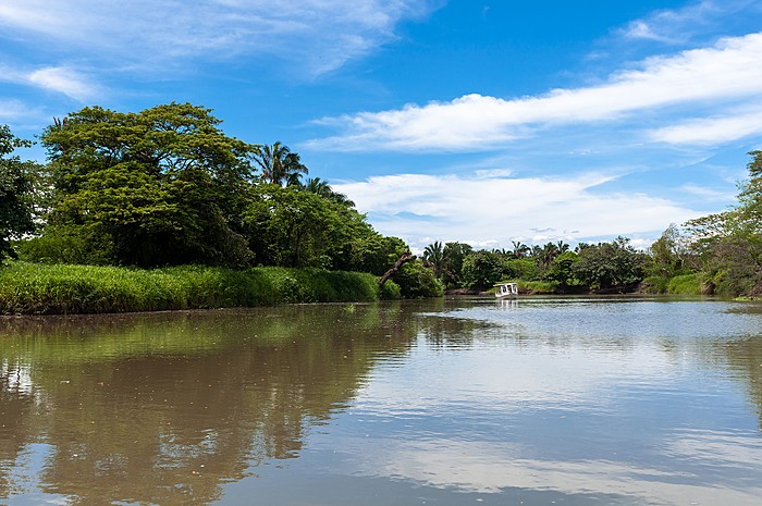 Private La Tirimbina Guided Hike