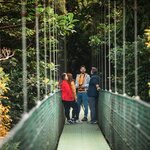 Enjoy a day of adventuring in the cloud forest of Monteverde (photo courtesy of Treetopia Park Monteverde)