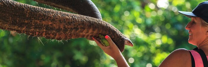 Kokchangsafari Puhket