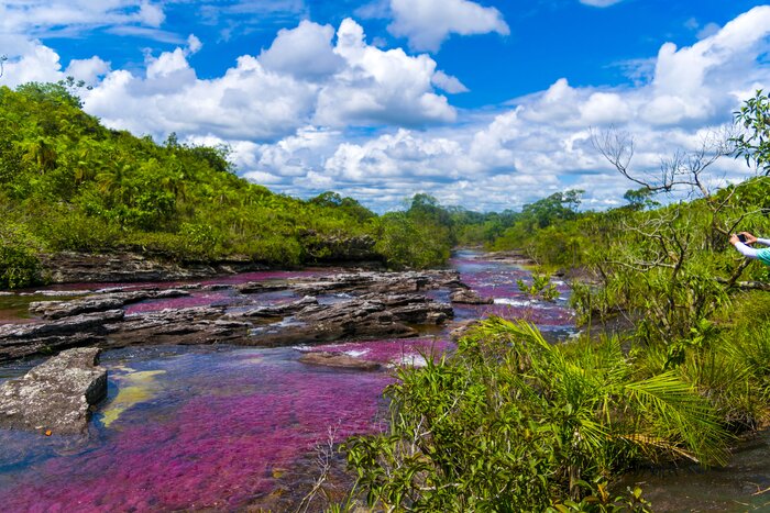 The time to view Caño Cristales is from June to November when the beneath-the-surface aquatic plant blooms