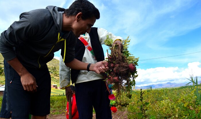 Morning activities at Luquina, lunch and drive back to Puno