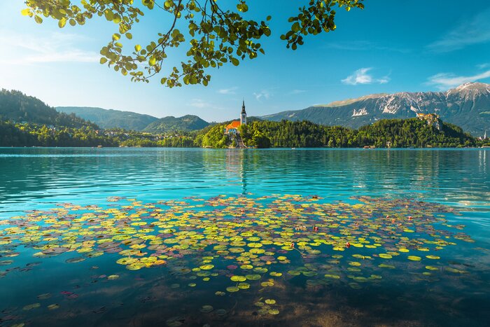 Take a traditional wooden boat out to visit Lake Bled's island church