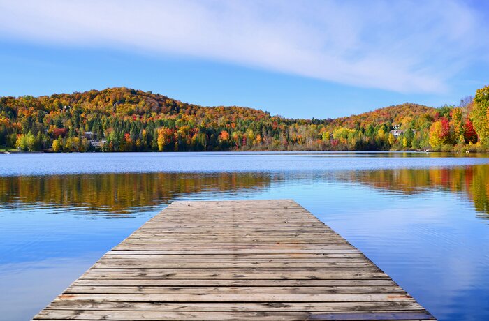 Admire the transitioning leaves of the Québec forests during the autumn