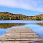 Admire the transitioning leaves of the Québec forests during the autumn