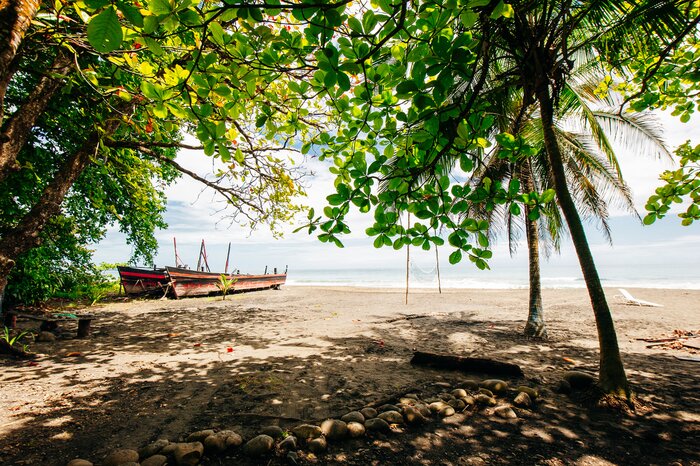 Explore the Caribbean coast near Puerto Viejo de Talamanca