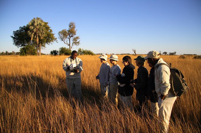 Okavango Delta Safari