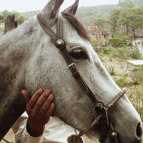 Horse-riding through the mountains of Guanajuato