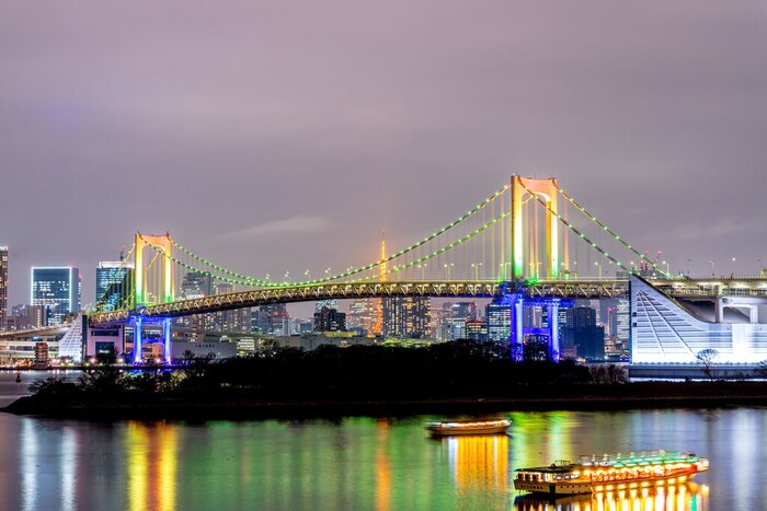 Half Day Explore the Futuristic Odaiba District