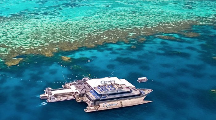 Full Day Outer Barrier Reef Cruise (from Hotel)