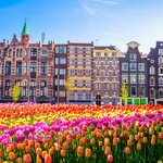 Amsterdam in bloom