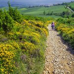 Spend a month crossing Spain's historic bridges, mountains, vineyards, and rolling countryside