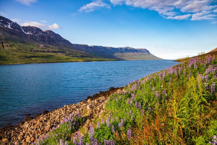 Eastern Fjords, Iceland