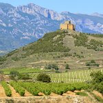 Visit wineries in the La Rioja region during this partial road trip