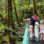 Hike with the family in the Costa Rican cloud forest