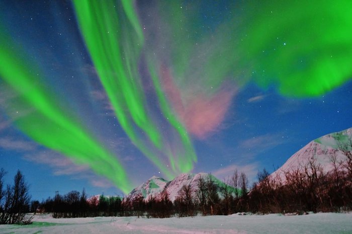 Reindeer Feeding & Northern Lights Experience