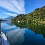 Take scenic trains, cruises, and water taxis to explore the South Island's pristine coastline
