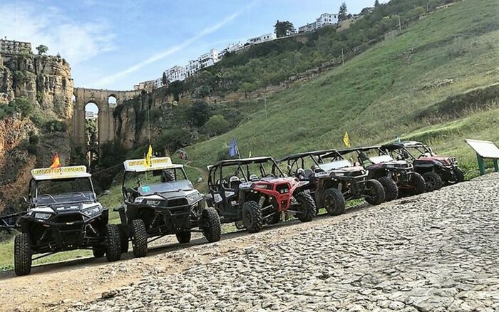 Tajo Trip: Discover Ronda Countryside in Buggy