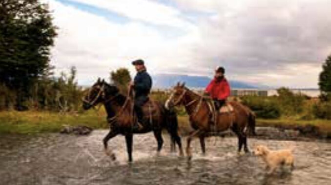 Horseback Ride to El Canto de los Turbales Waterfall (Estancia Mercedes)