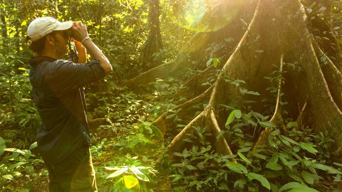 Rainforest Posada Amazonas Lodge 2/4 - A la carta