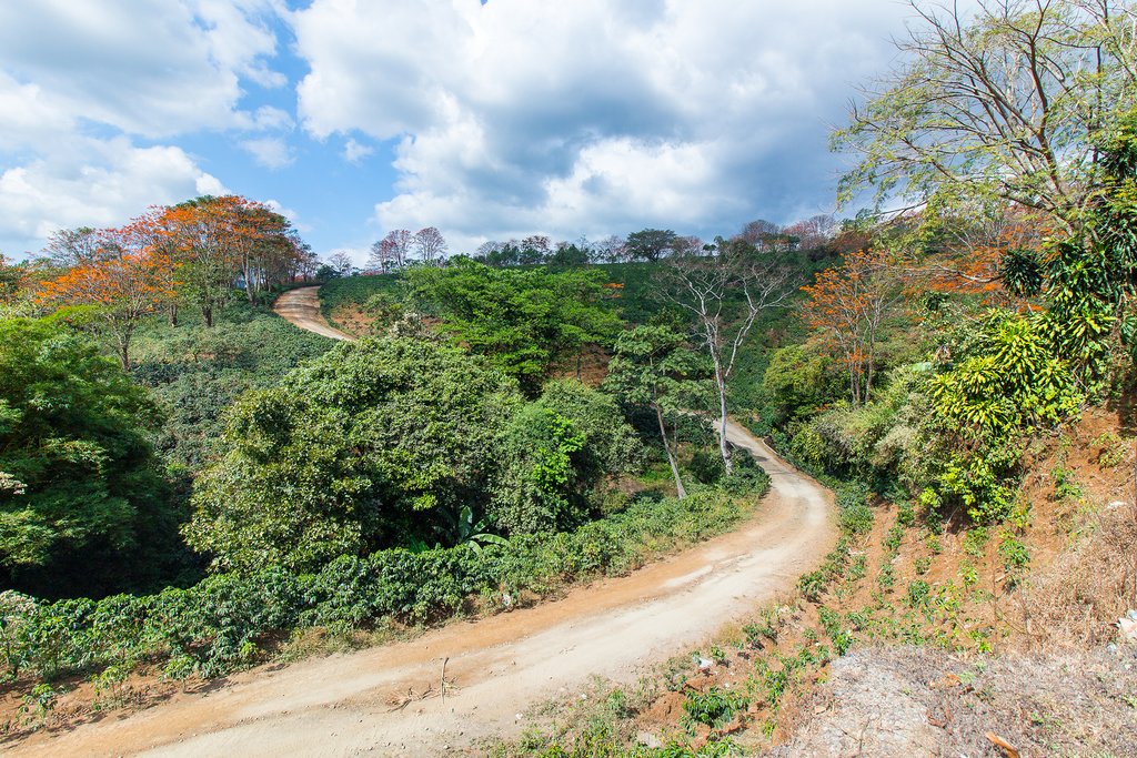 Hit the open road in Costa Rica