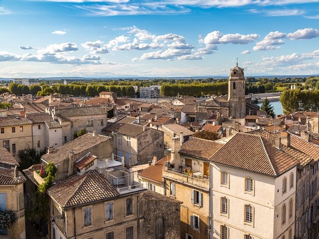 Half-Day Van Gogh & Alpilles Tour