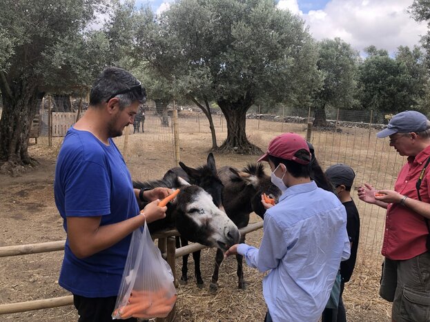 The Past of Naxos Private Tour