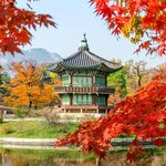 Discover South Korea's natural wonders during this eight-day tour