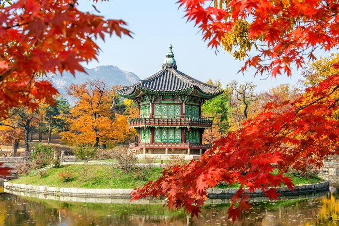 Discover South Korea's natural wonders during this eight-day tour