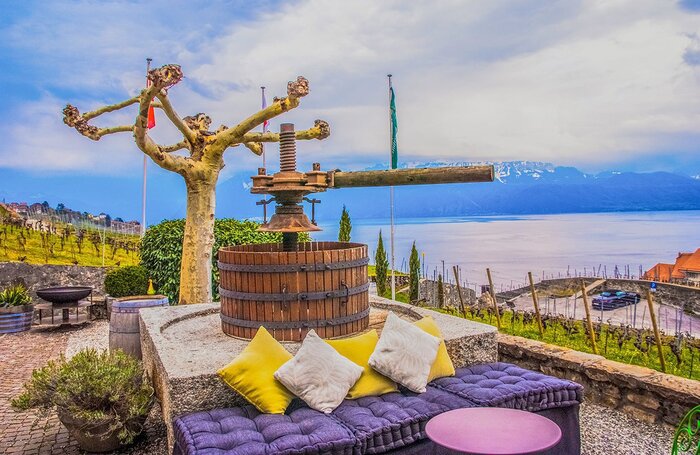 Local wine tasting session in Montreux / Lavaux!