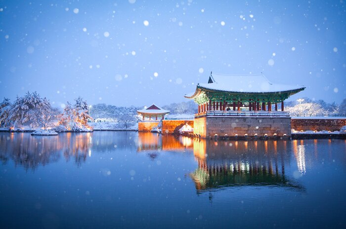 Half Day Gyeongju National Museum and Tumuli Park Tour with Night View