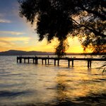Drive to Roturua, situated along Lake Rotorua, and visit the natural attractions 