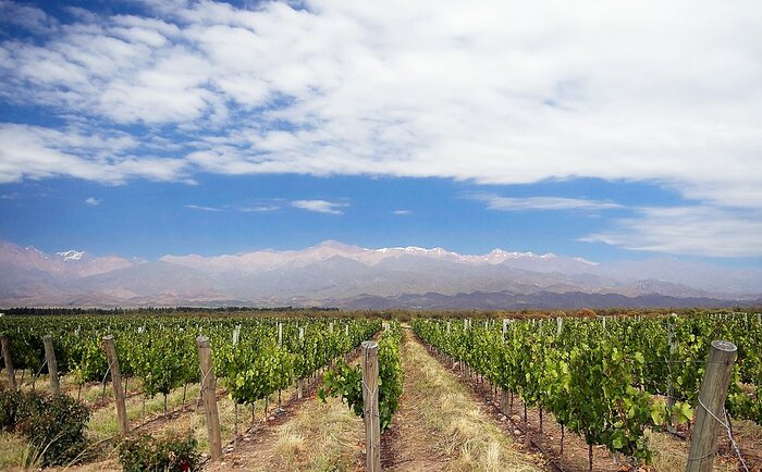 Mendoza framed by the Andes