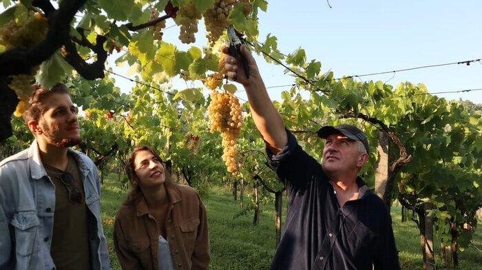 Vineyard, Cellar & Ancient Caves Tour with Tasting Experience