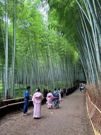 Hozugawa River Boat Ride and Arashiyama Exploration and  Japanese tea ceremony (Private Guide &Public Transportation)