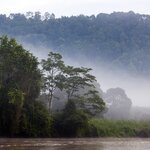 Cruise along the Kinabatangan River in Malaysian Borneo