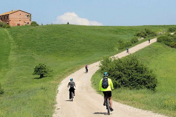 E-Biking through the scenic cypress trees of Val d'Orcia with Wine Tasting