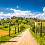 Hike along the famous "white roads" of the Val D'Orcia landscape